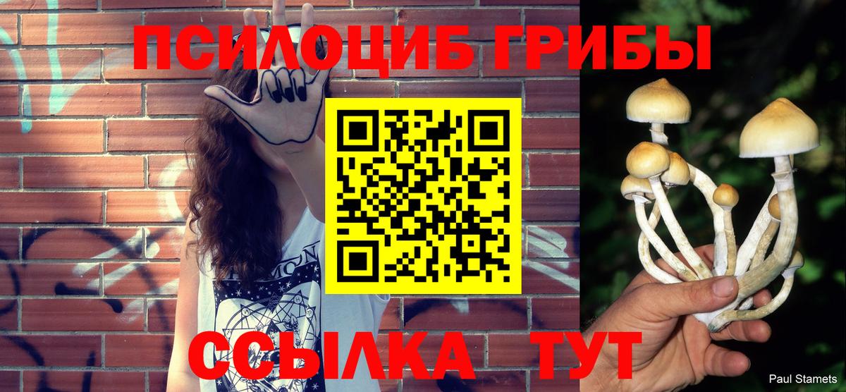 Галлюциногенные грибы Psilocybine cubensis Мурино