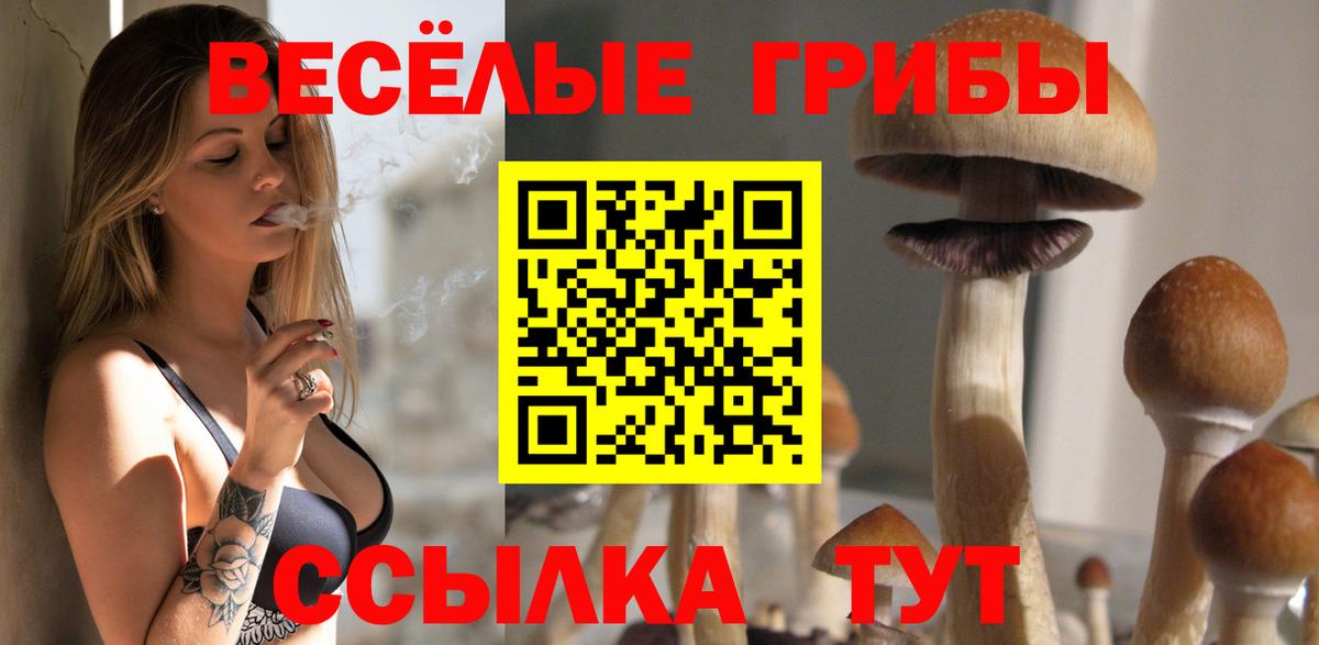 Мурино  Галлюциногенные грибы мухоморы  Вход с VPN 